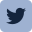 footertwitter